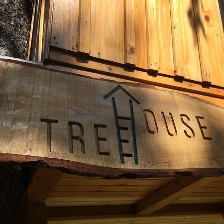Villa Tree House Alpinka Krvavec à Cerklje na Gorenjskem Extérieur photo