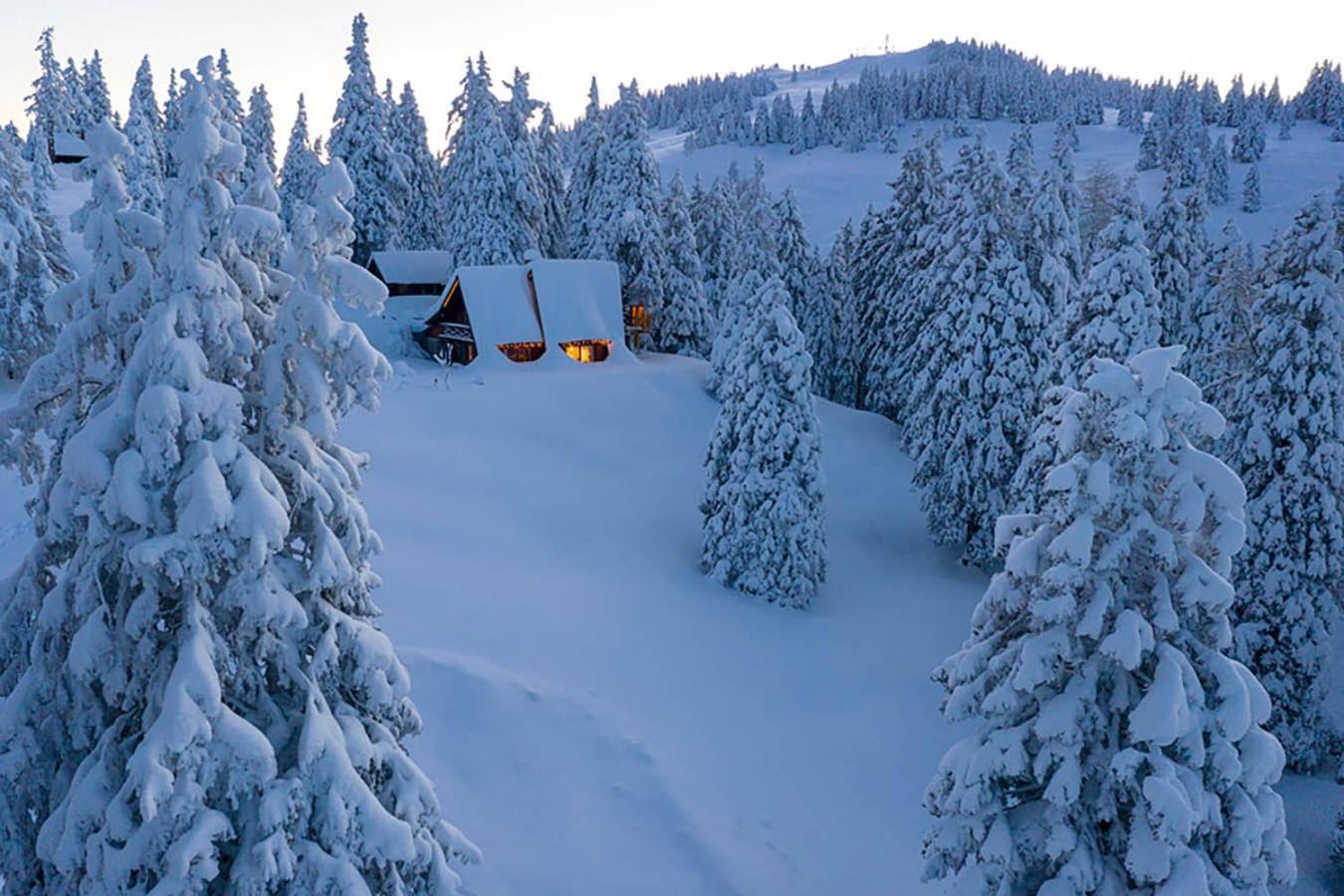 Villa Tree House Alpinka Krvavec à Cerklje na Gorenjskem Extérieur photo